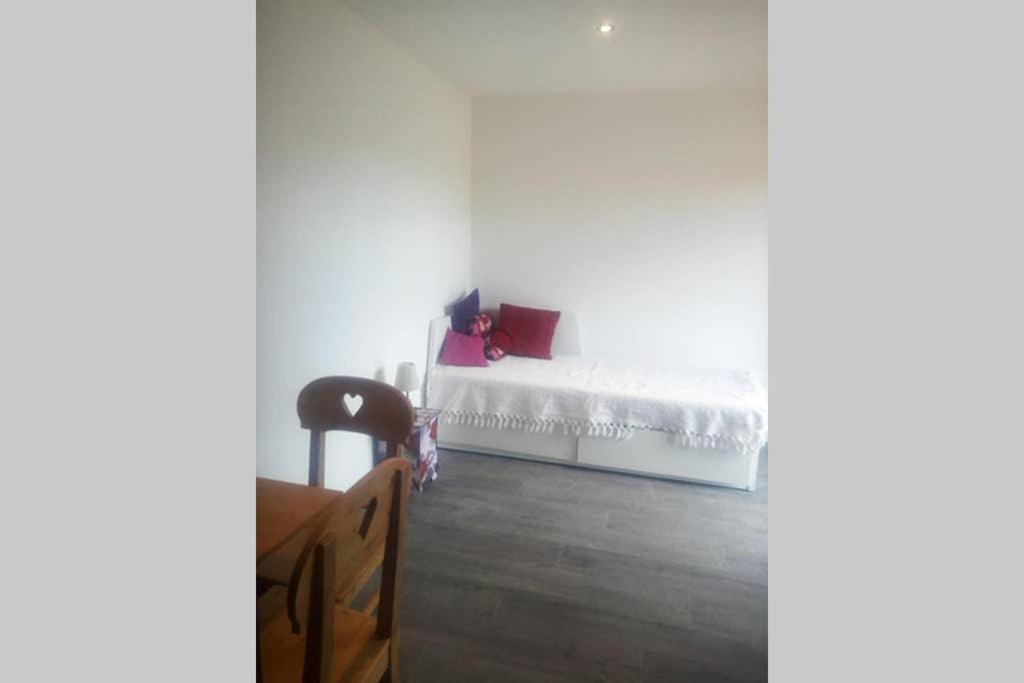 Studio Avec Jardin Au Pied Du Revard Dans Villa Aix-les-Bains Ngoại thất bức ảnh